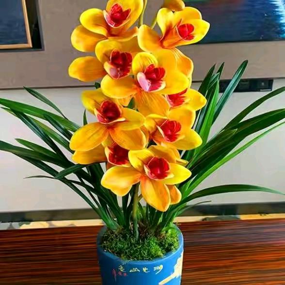 春暖花开-