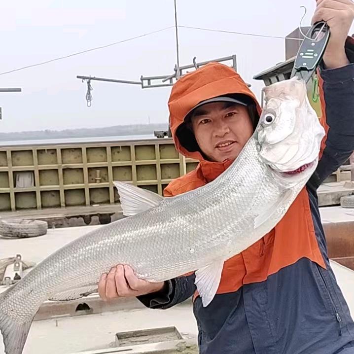 大力水手