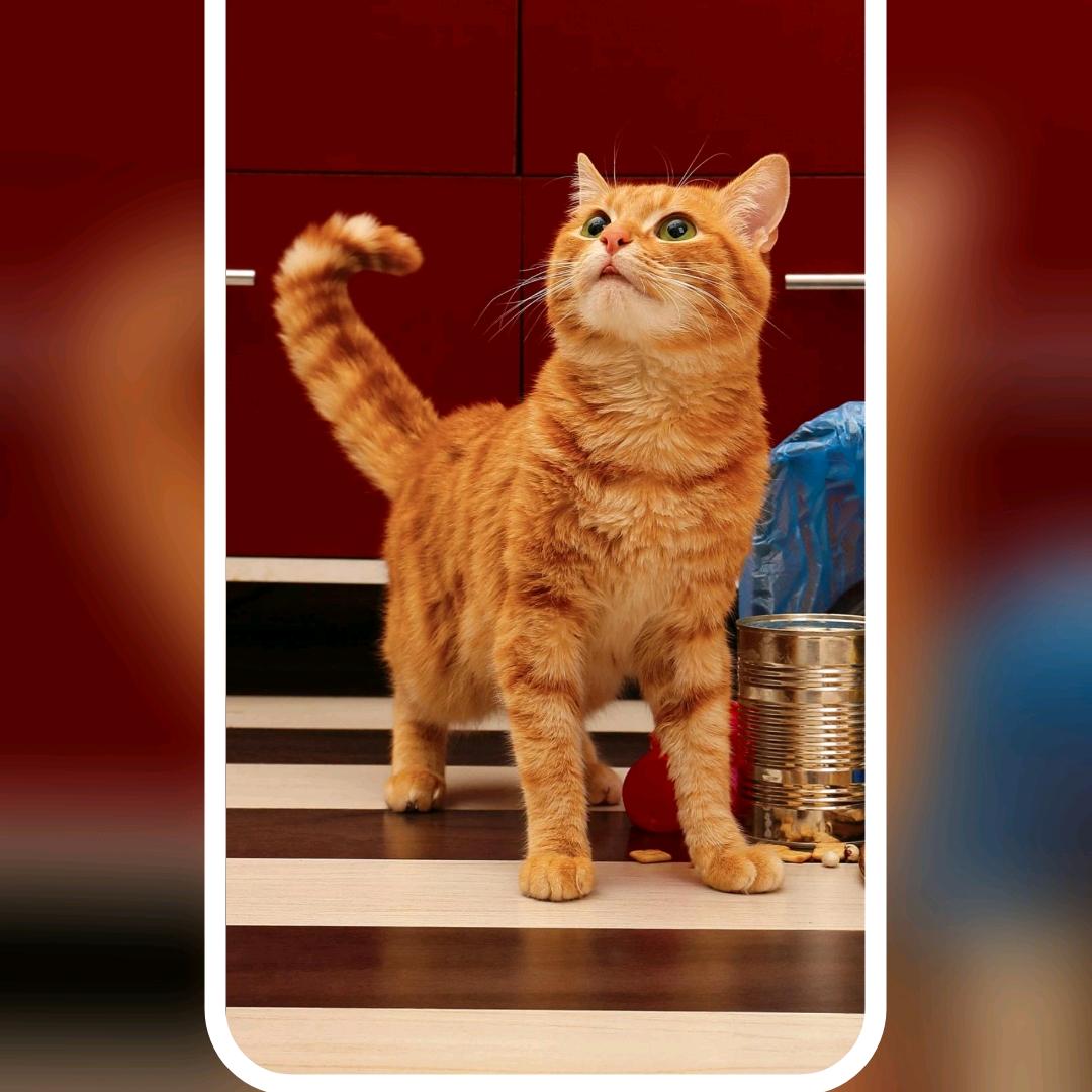 丶沾上泪的灰尘