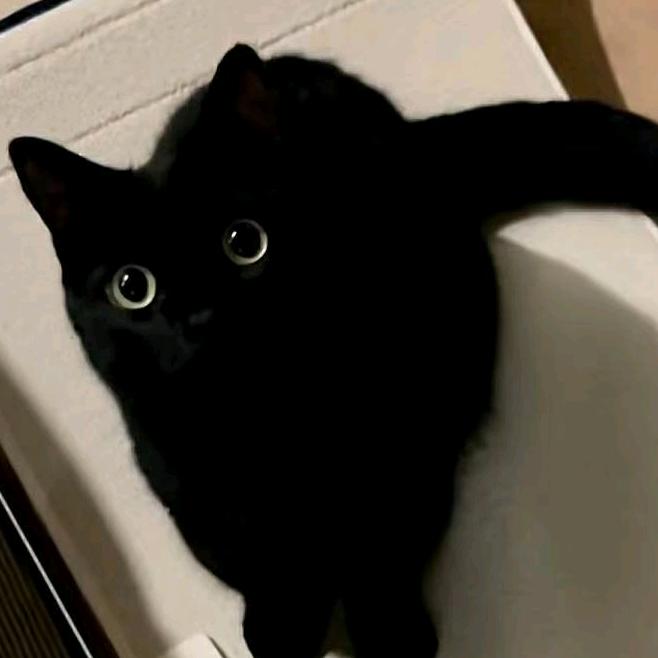 yuq