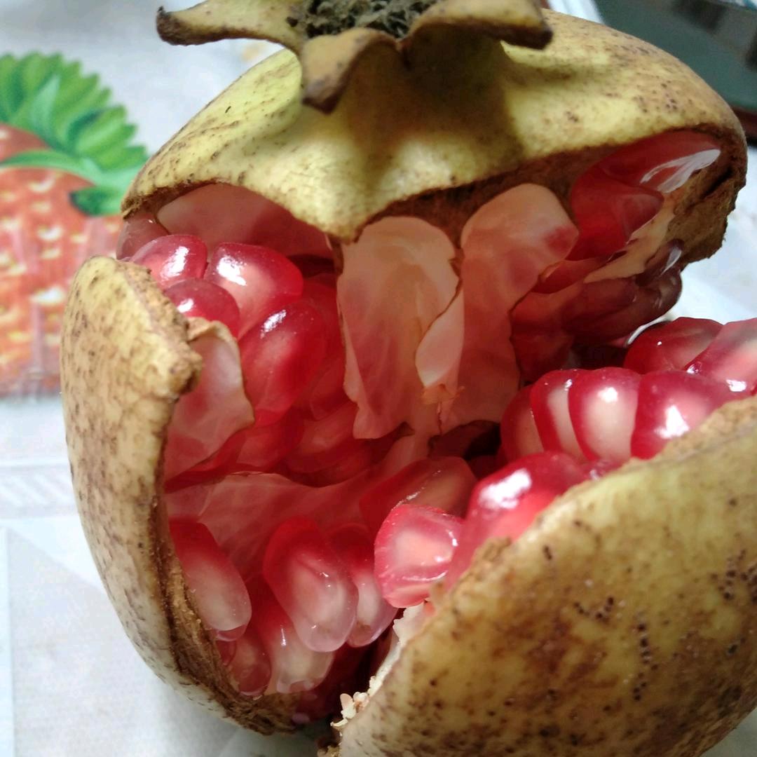 蓝天888
