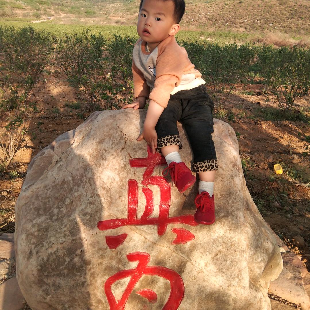 SH李先森