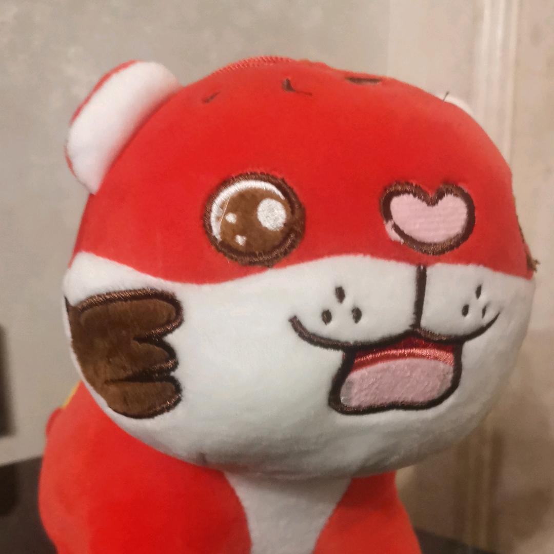 可者与之