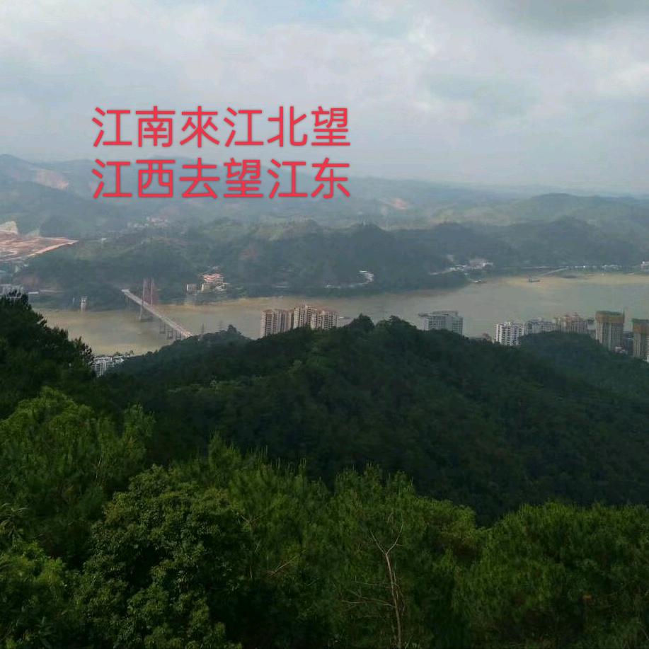 左左坪日