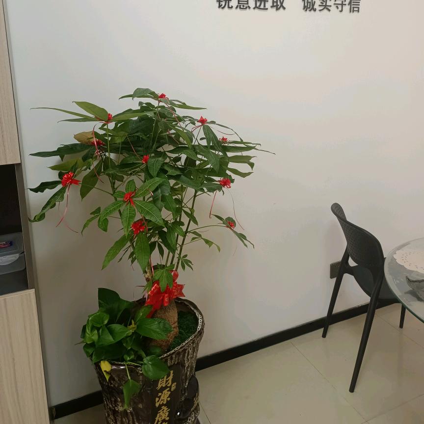 倾听民间故事