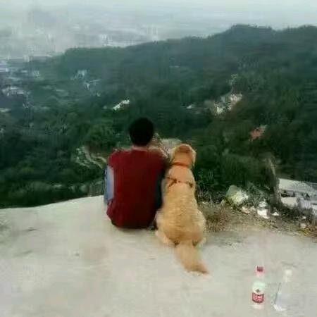 兔子哥