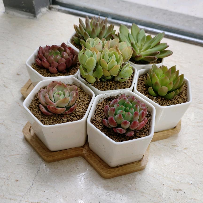 雨炩炩