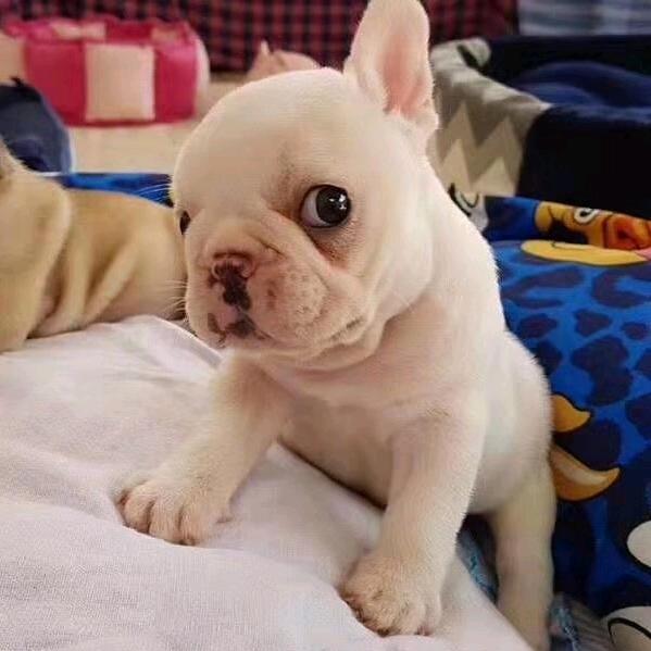 慢着。慢慢。就。。。。