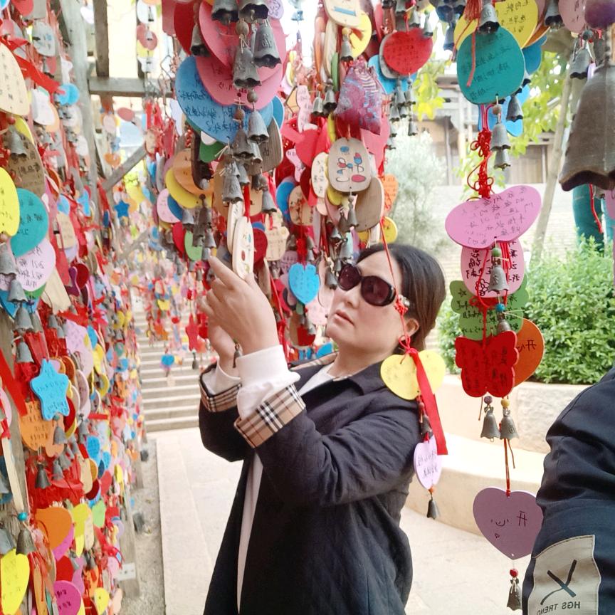 人生若只如初见