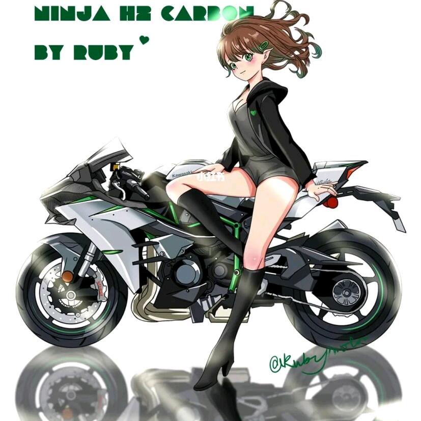 新南方电动车 （老默）