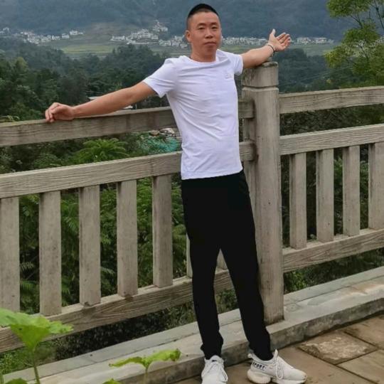 光明行动
