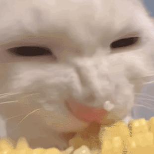 冷漠有洁癖的少爷一眼看上在挑粪的我
