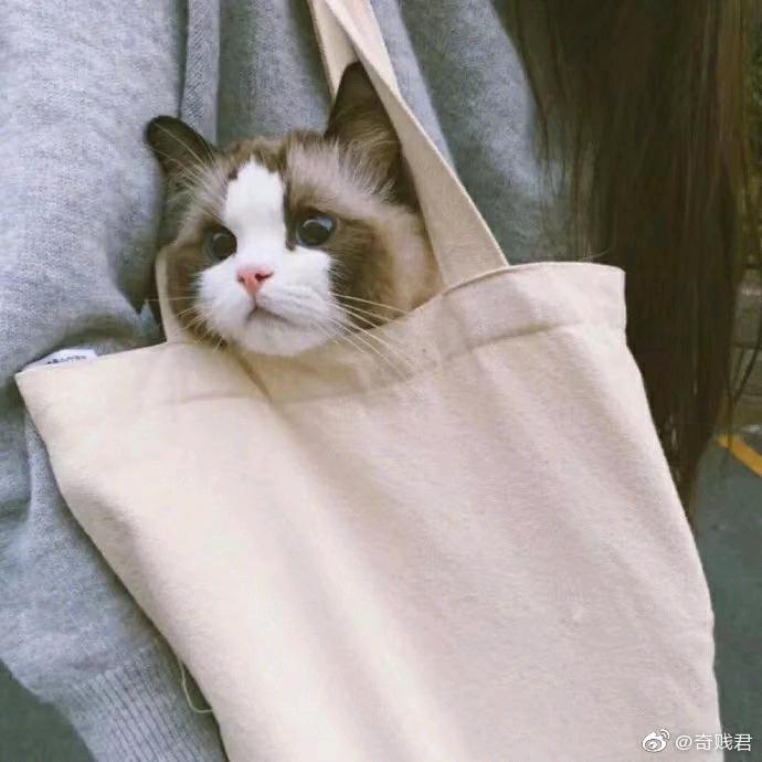 波妞呀