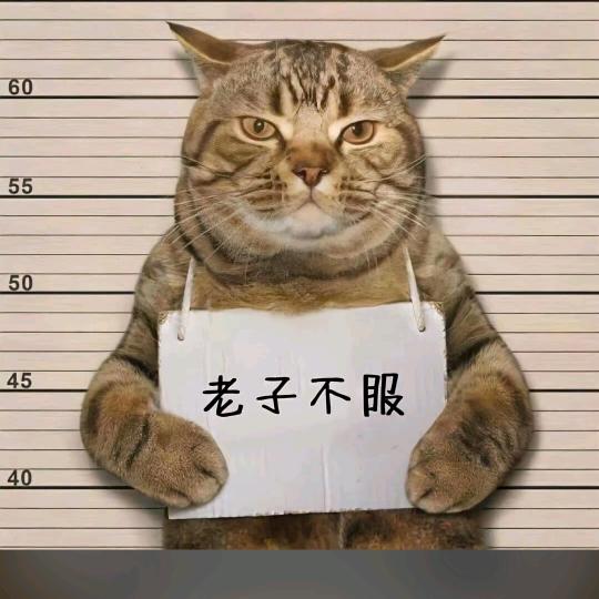 无语