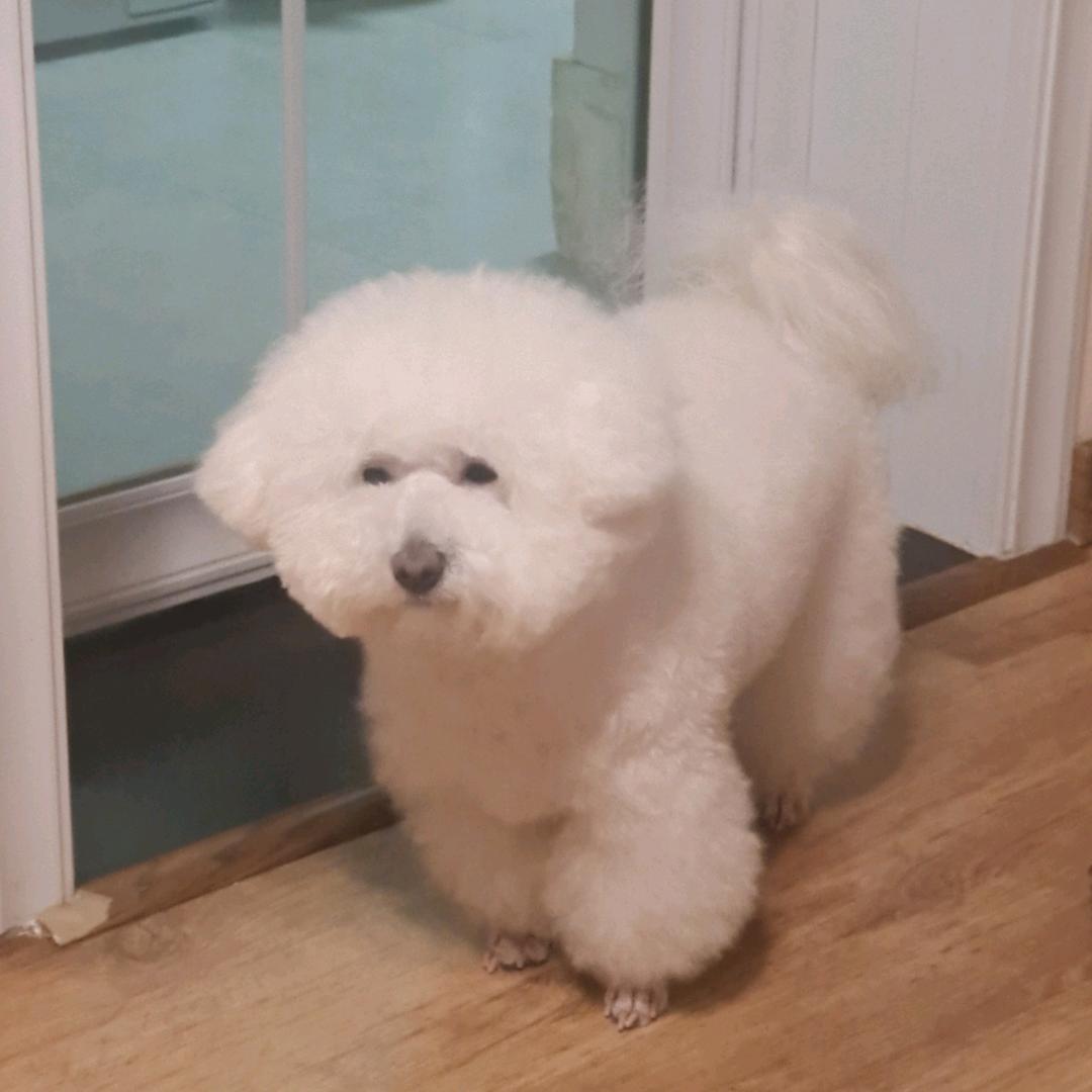 静心😷