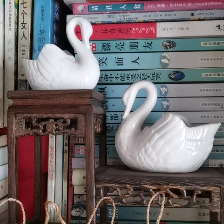 勇鹅🦢
