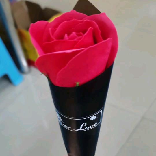 🥀₅²⁰💃余生有你足够🦹¹