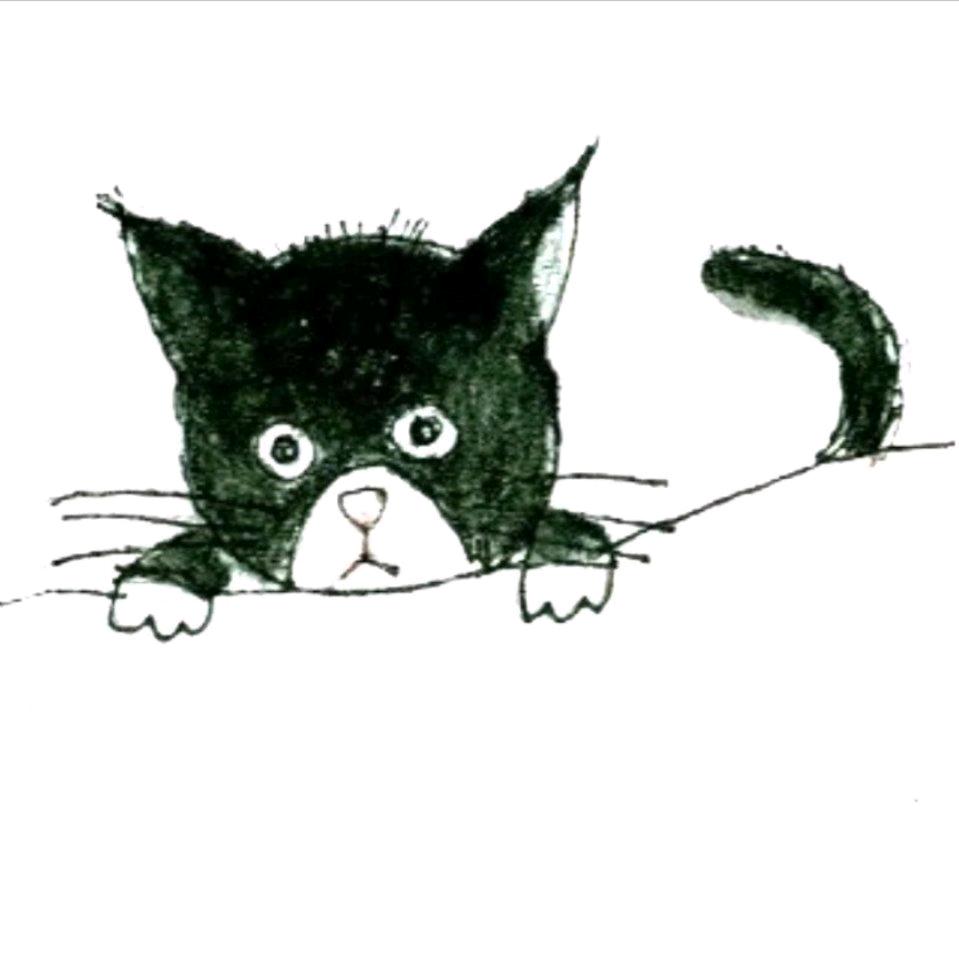 小二猫
