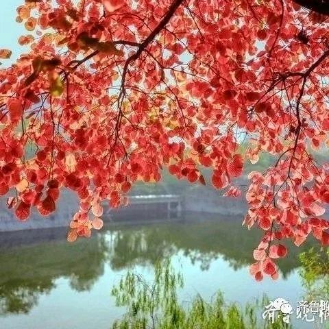安教练