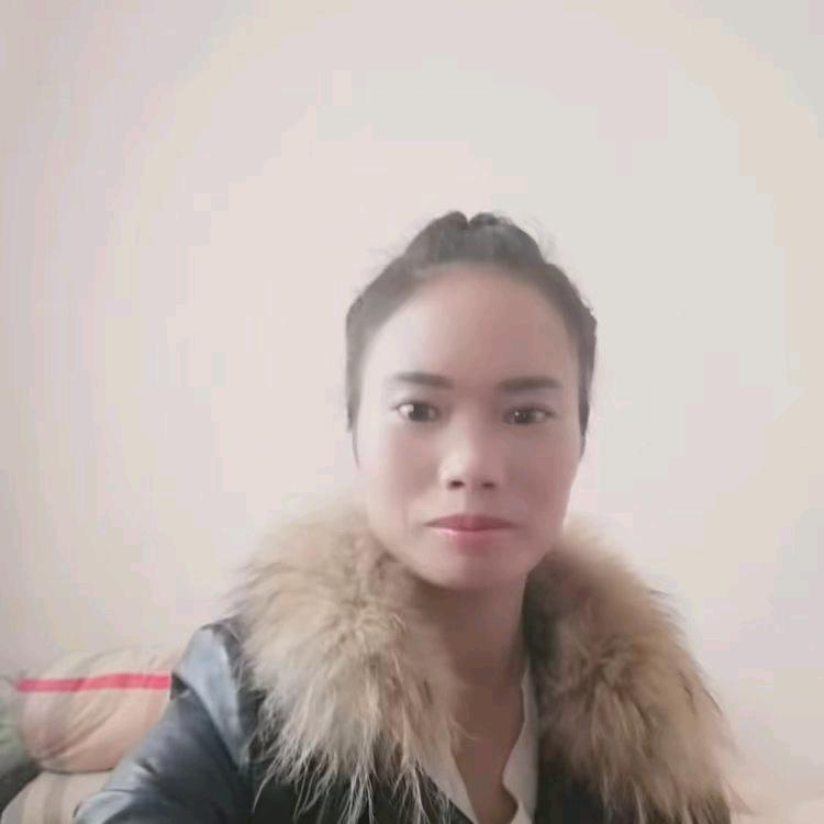 艳丽的玫瑰