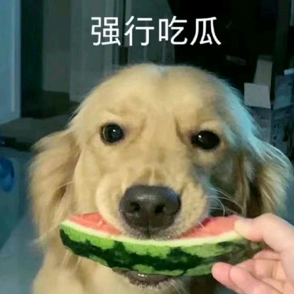 强行吃瓜