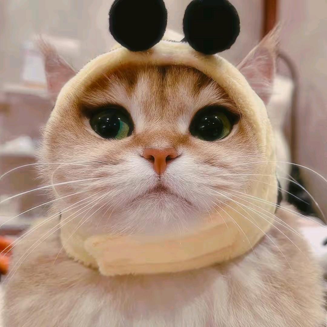 蜡笔小小