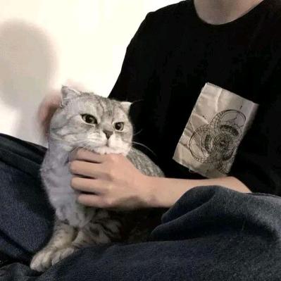 断殇.