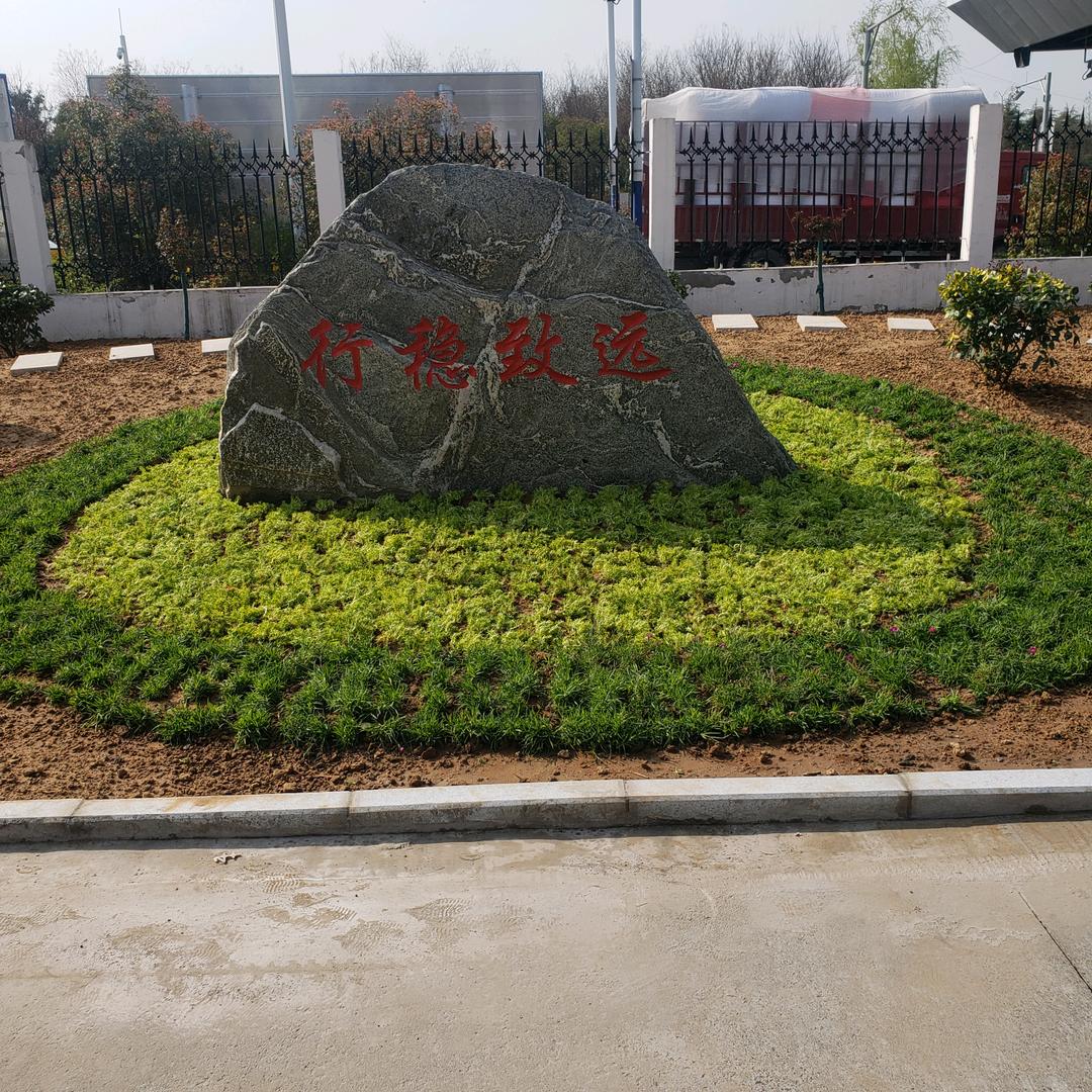 龙哥
