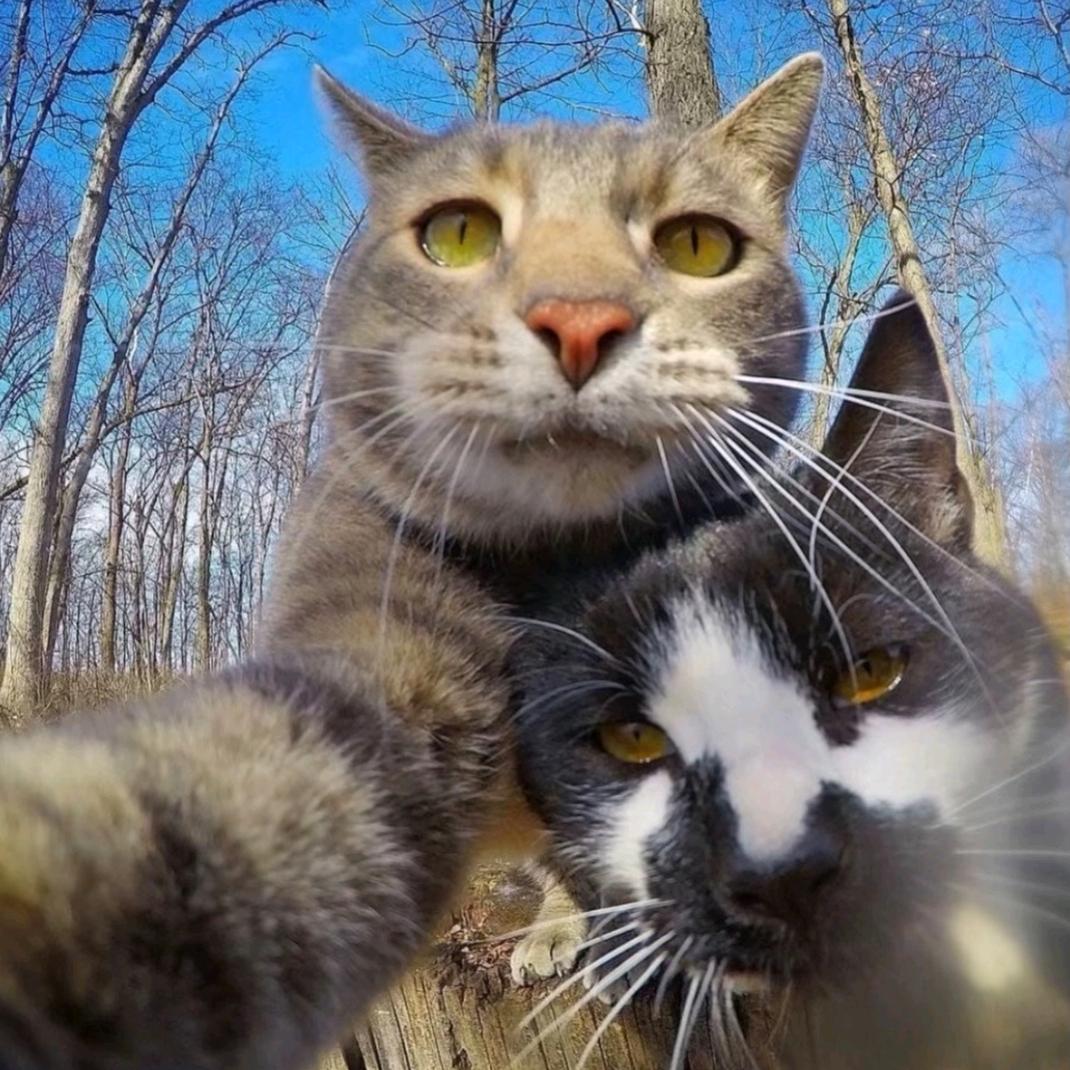 ₍₍ (̨̡ ‾᷄ᗣ‾᷅ )̧̢ ₎₎