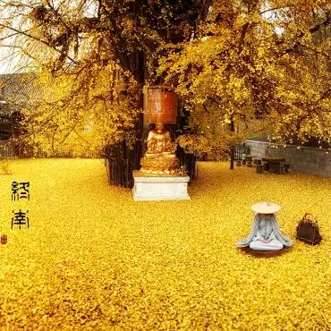 笑山人