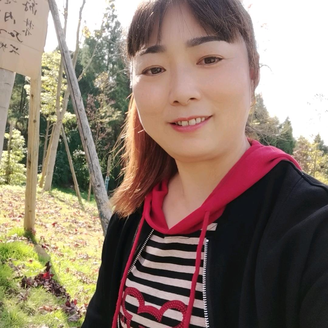 向阳花儿