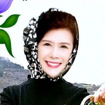 兴安松柏