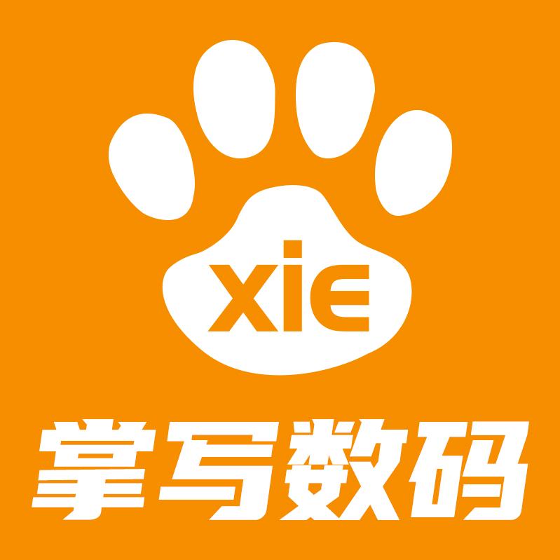 掌写数码