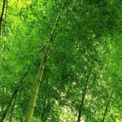 幸福相伴