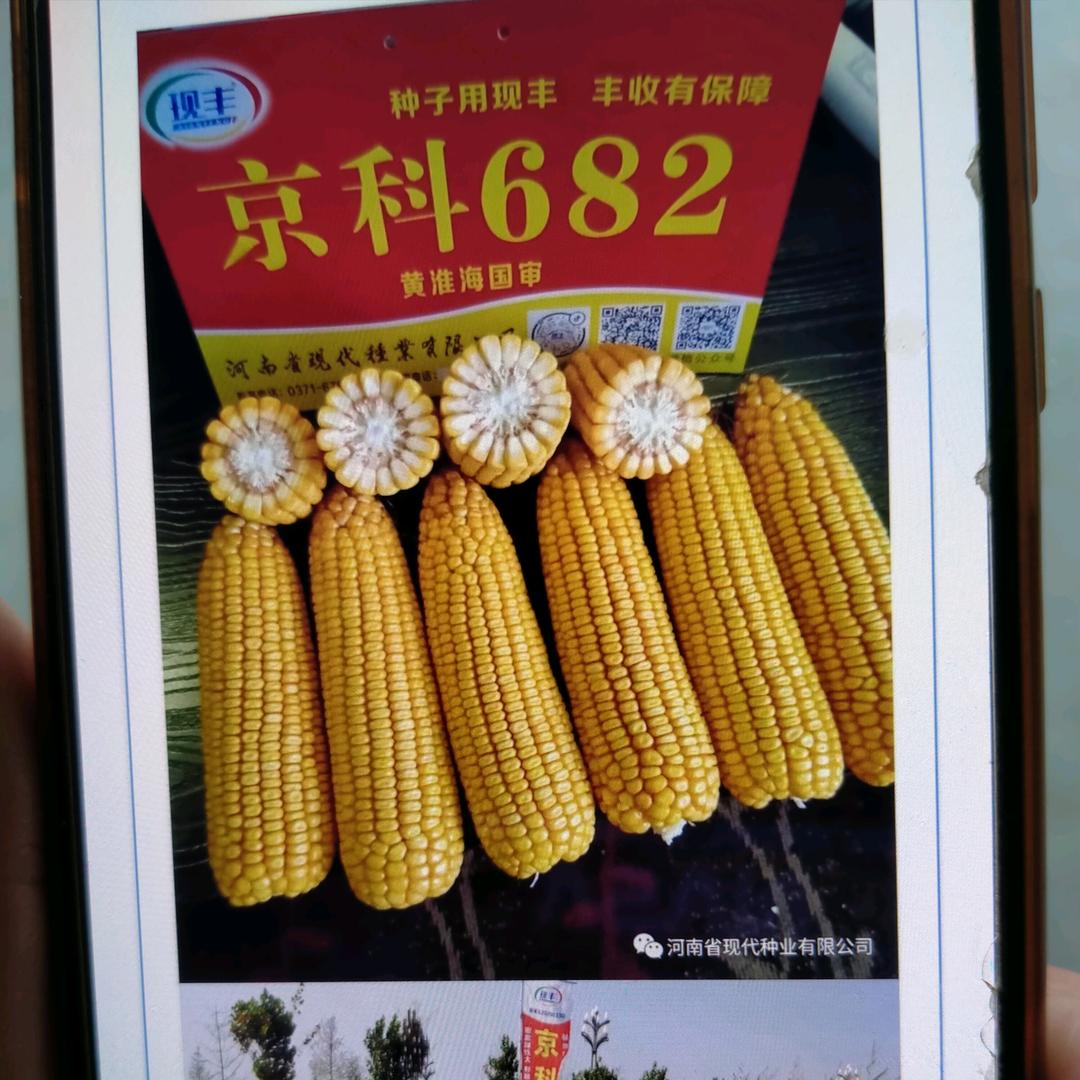 张树裕