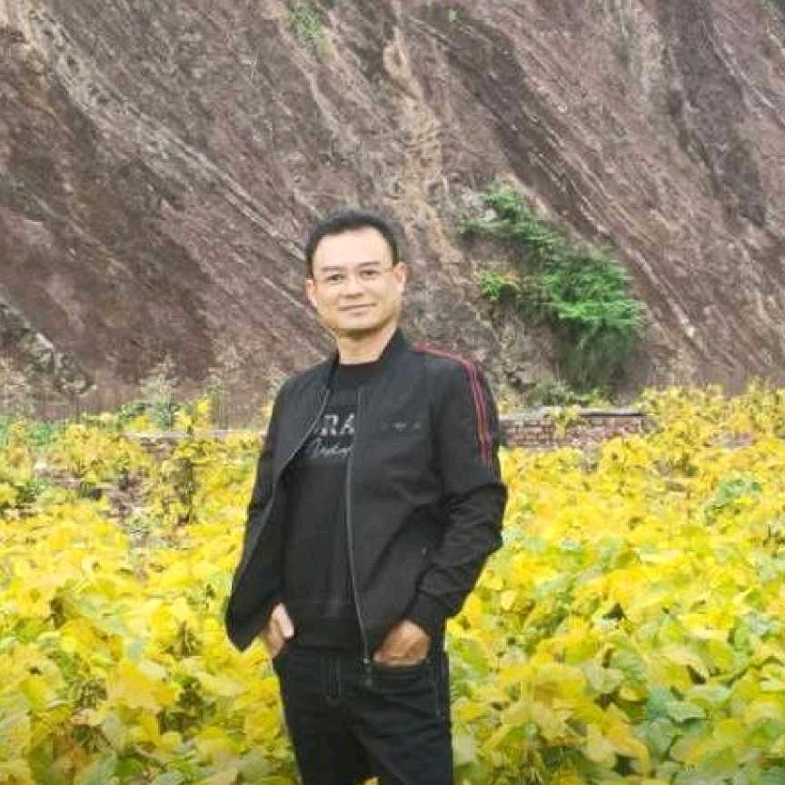 红尘过客