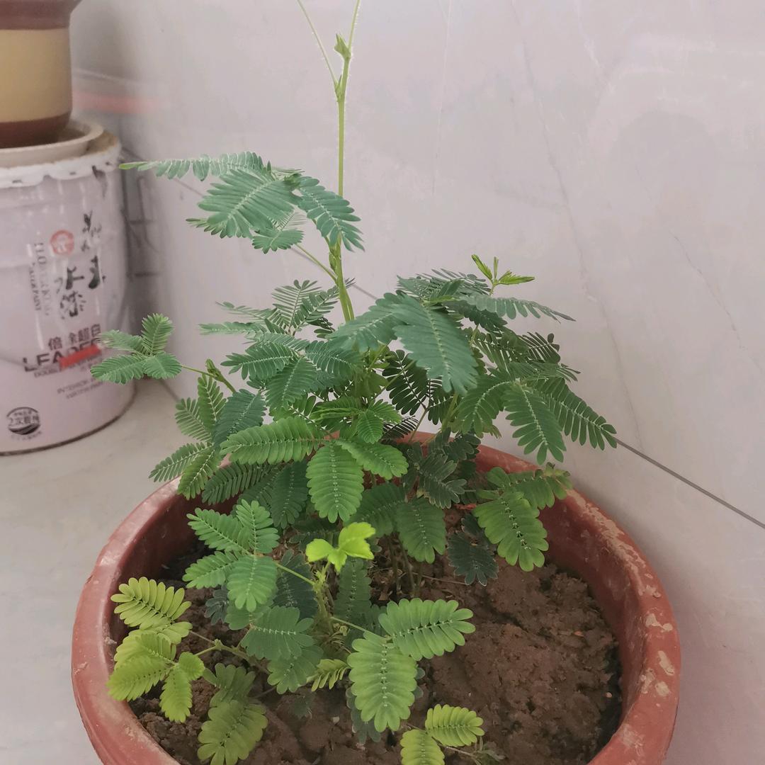 都过去吧！