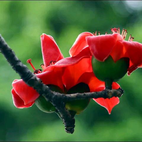 一切尽在不言中🙆