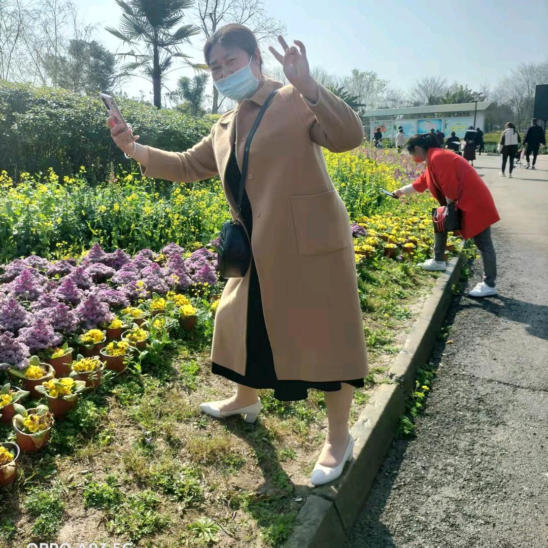 至尊梅