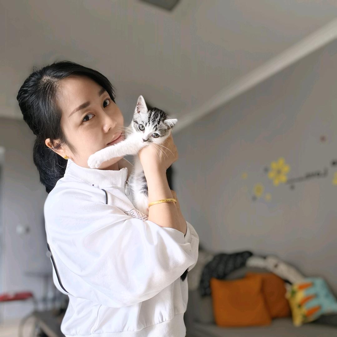 😜调皮捣蛋猫🐱