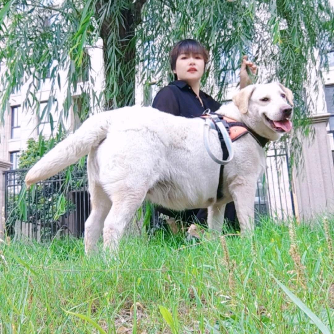 赵姐