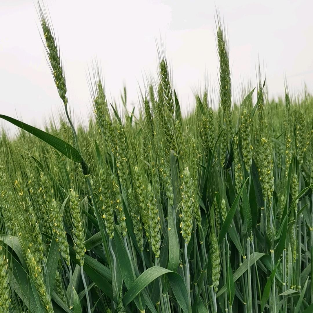 小刘小刘富得流油