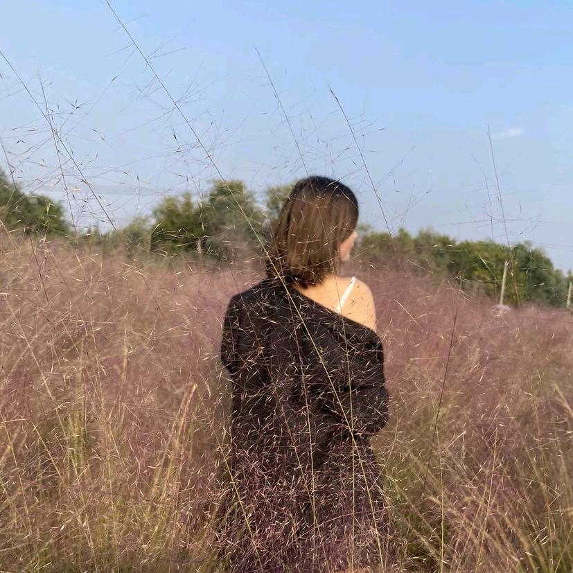 JY 嘉盈