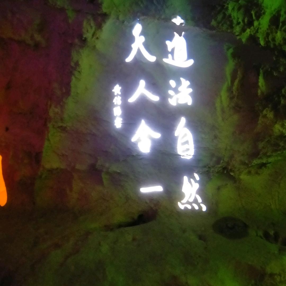 随心