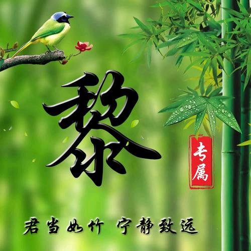 紫竹