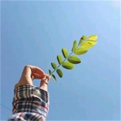 思念在发烫