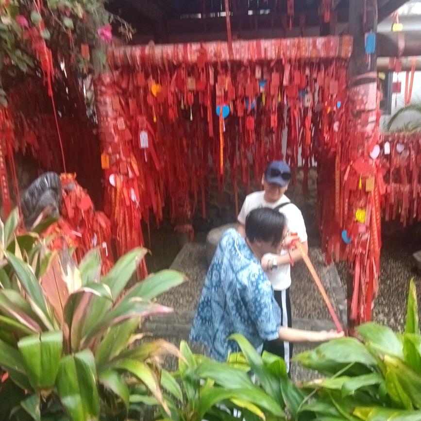 满目星晨皆是你