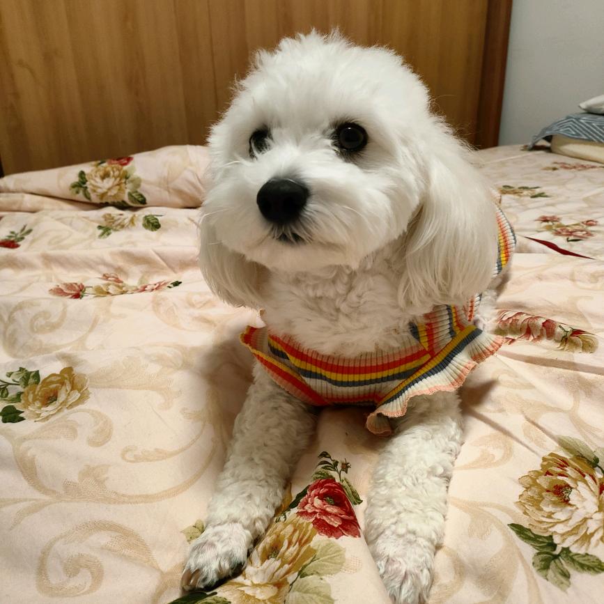 米节奏💥与你有光✨💫✨