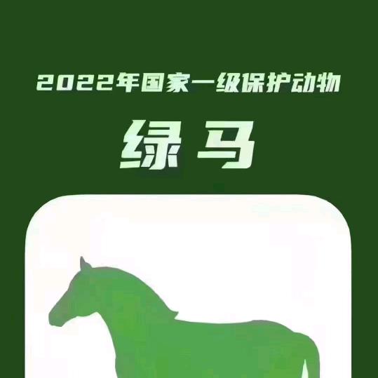 周先生