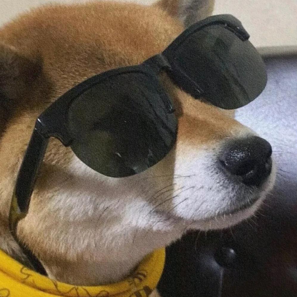 湖南最深情的舔狗